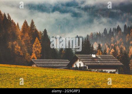 Paysage d'automne à Alpe de Siusi Sud Tyrol Italie Banque D'Images