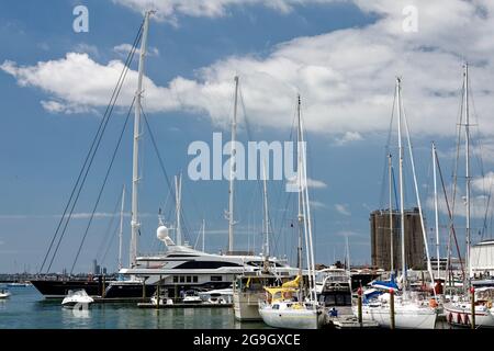 port de plaisance, yachts, voiliers, bateaux à moteur, yachts, quais, eau, scène maritime, mâts, bâtiments au-delà, St. Mary's Bay ; Auckland, Nouvelle-Zélande Banque D'Images