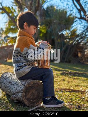 Portrait d'un petit garçon brunette assis au-dessus d'un tronc d'arbre jouant un Bongo Drum à l'extérieur dans le parc. Arrière-plan flou, vertical Banque D'Images