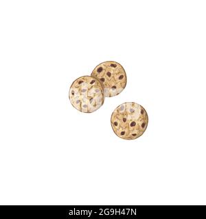 Biscuits aux pépites de chocolat isolés sur fond blanc. Biscuits sucrés. Pâtisserie maison. Biscuitss de flocons d'avoine. Délicieux dessert Banque D'Images