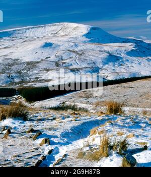 Fan Fawr à partir du maïs, du parc national de Brecon Beacons, Powys, Pays de Galles. Banque D'Images