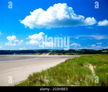 Oxwich Beach, Gower Peninsula, Glamourgan, pays de Galles du Sud. Banque D'Images