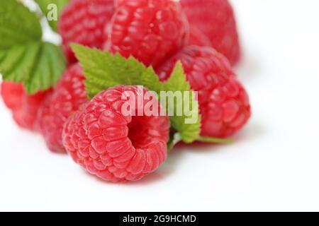 Framboises mûres avec feuilles vertes sur fond blanc. Baies rouges juteuses gros plan, récolte d'été Banque D'Images