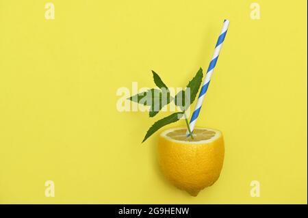 Limonade de fruits au citron, paille de papier et feuilles de menthe Banque D'Images