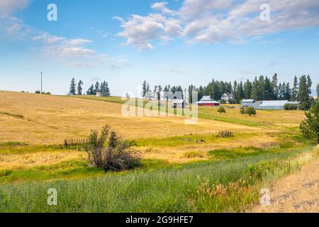 Une ferme de ranch avec maison de domaine victorienne, des granges et des boutiques dans la région de Palouse près de Spokane, Washington, États-Unis. Banque D'Images