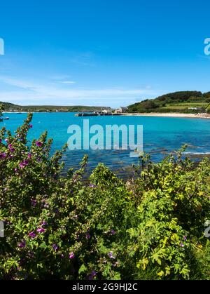 New Grimsby Quay, Tresco, Iles de Scilly, Cornouailles, Angleterre, ROYAUME-UNI. Banque D'Images