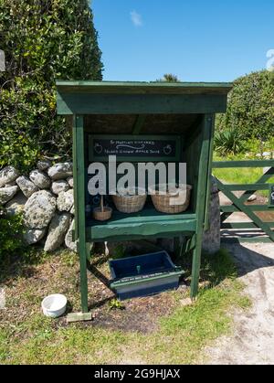 St Martin's Vineyard Honesty shop, St Martin, Îles de Scilly, Cornouailles, Angleterre, ROYAUME-UNI. Banque D'Images