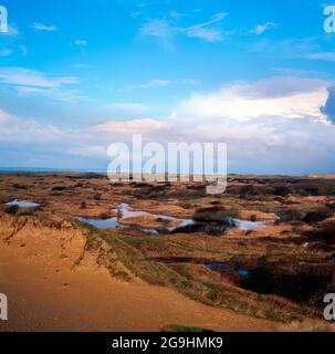 Établi un système de dunes et des dunes, réserve naturelle nationale de Kenfig, Porthcawl, pays de Galles du Sud. Banque D'Images