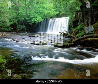 Scwd Ddwli Waterfall, River Nedd, Upper Neath Valley, Ystradfellte, Brecon Beacons National Park, Powys, pays de Galles. Banque D'Images