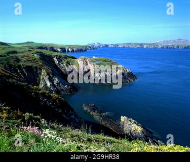 vue sur ramsey sound jusqu'à l'île de ramsey depuis le sentier côtier de pembroke, st justinien's, st davids, pembrokeshire, ouest du pays de galles. Banque D'Images