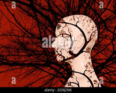 Illustration graphique de la tête femelle silhoette avec arbre noir et branches en double effet d'exposition, psychologie et concept de santé mentale. Banque D'Images