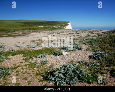 Cuckmere Haven, East Sussex. Banque D'Images