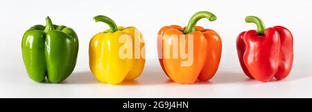 Poivrons doux colorés sur fond blanc. Bannière. Ensemble de poivrons verts, jaunes, orange et rouges. Gros plan sur le poivre. Banque D'Images