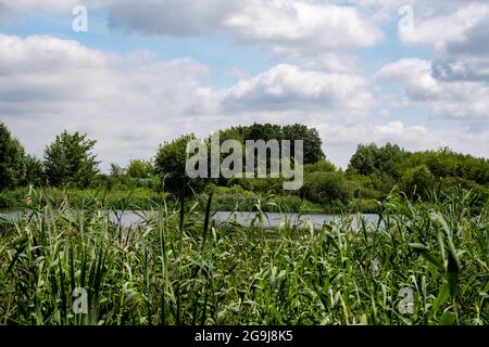 paysage de meadowland avec petit lac Banque D'Images