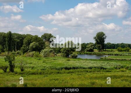 paysage de meadowland avec petit lac Banque D'Images