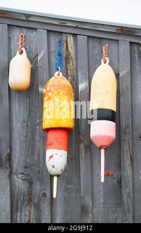 Bouées de homard accrochées à une cabane à Owls Head, Maine, États-Unis Banque D'Images