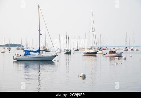 Le port de Rockport, Maine, États-Unis le matin d'une brumeuse Banque D'Images