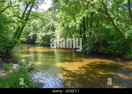 Rivière Fowey, Lanhydrock, 160721 Banque D'Images