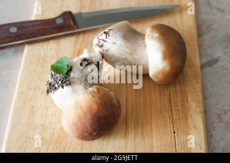 Bloc à hacher en bois avec un couteau et deux champignons porcini frais Banque D'Images