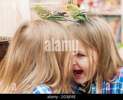 petite fille jouant avec un perroquet au miroir Banque D'Images