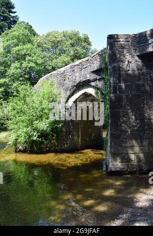 Rivière Fowey, Lanhydrock, 160721 Banque D'Images