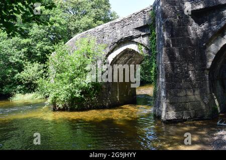 Rivière Fowey, Lanhydrock, 160721 Banque D'Images