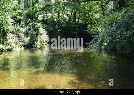 Rivière Fowey, Lanhydrock, 160721 Banque D'Images