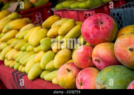 Fruits spéciaux dans la zone spéciale, mangue avec peau rouge, peau jaune et peau verte Banque D'Images