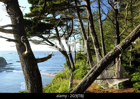 Un hamac avec vue sur l'océan Pacifique près du parc national de Sunset Bay, Oregon. Banque D'Images