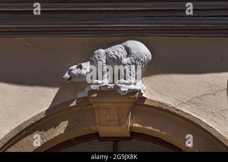 Ours polaire figure sur la Haus zum Eisbaeren à partir de 1928, Bamberg, haute-Franconie, Bavière, Allemagne Banque D'Images