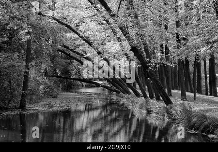 Fossé aquatique au parc du château de Wickrath, Moenchengladbach, Allemagne Banque D'Images