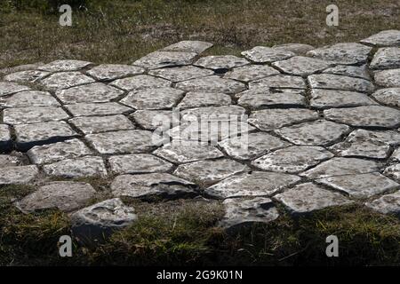 Colonnes de basalte sculptées par les glaciers, Kirkjugolf ou trottoir d'église, Kirkjubaejarklaustur, Skaftarhreppur, Suourland, Islande Banque D'Images