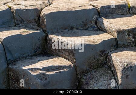 Colonnes de basalte sculptées par les glaciers, Kirkjugolf ou trottoir d'église, Kirkjubaejarklaustur, Skaftarhreppur, Suourland, Islande Banque D'Images