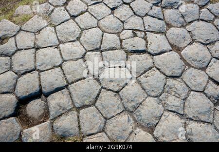 Colonnes de basalte sculptées par les glaciers, Kirkjugolf ou trottoir d'église, Kirkjubaejarklaustur, Skaftarhreppur, Suourland, Islande Banque D'Images