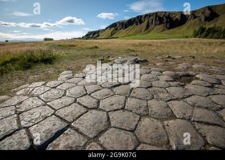 Colonnes de basalte sculptées par les glaciers, Kirkjugolf ou trottoir d'église, Kirkjubaejarklaustur, Skaftarhreppur, Suourland, Islande Banque D'Images