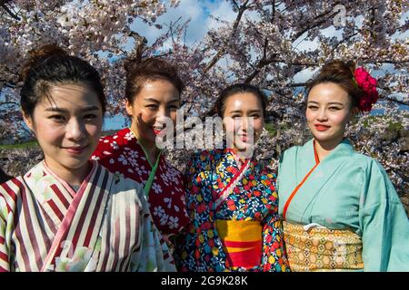 Femmes vêtues de Geishas debout dans les cerisiers en fleurs, fort Goryokaku, Hakodate, Hokkaido, Japon Banque D'Images