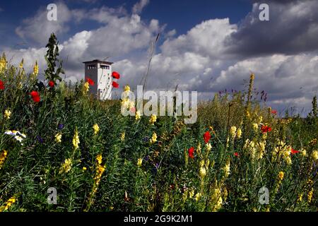 Tour d'observation des troupes frontalières de la RDA, tour de surveillance frontalière, fleurs de prairie, fleurs de champ, fleurs sauvages, sentier de la colonne, sentier de randonnée à travers Banque D'Images