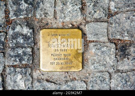 Pierre d'achoppement à la mémoire du Dr. Max Rauschmann, victime de la dictature sous le national-socialisme, Schoenhauser Allee, Berlin, Allemagne Banque D'Images