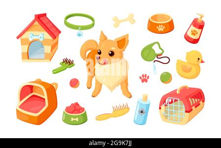 Chien Chihuahua avec chenil, porteur, jouets et toilettage. Chiot Chihuahua avec accessoires pour animaux de compagnie. Illustration vectorielle dans un joli style de dessin animé Illustration de Vecteur