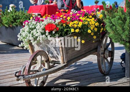 Brouette en bois rustique remplie de fleurs colorées Banque D'Images