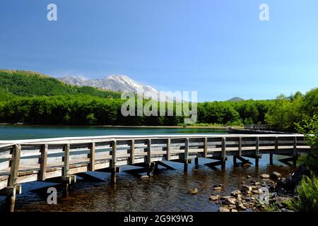 La promenade sur le sentier d'interprétation sur le lac Coldwater, près de Mt. St. Helens, WA, États-Unis. Banque D'Images