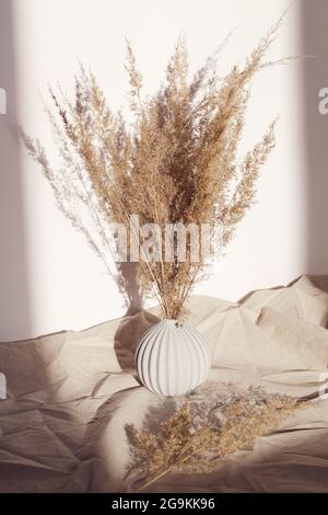 Pampas herbe dans un vase sur fond blanc et linge froissé avec ombre profonde. Fond naturel. Concept minimaliste et élégant. Nouveau décor tendance. Banque D'Images