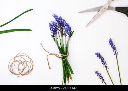 Les mains des femmes collectent un bouquet de muscari bleu en cadeau. Élagage de fleurs. Florist, petite entreprise locale, fleuriste. Style écologique. Fleuriste au travail Banque D'Images