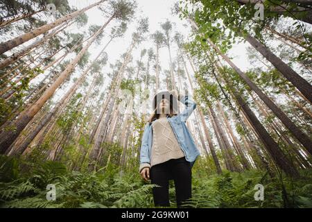 Angle bas de la jeune femelle avec main sur le chapeau debout dans la fougère verte parmi les grands arbres dans les bois Banque D'Images