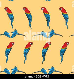 Vecteur orange fond oiseaux tropicaux, perroquets, macaw, cacatoès exotiques. Arrière-plan sans couture Illustration de Vecteur