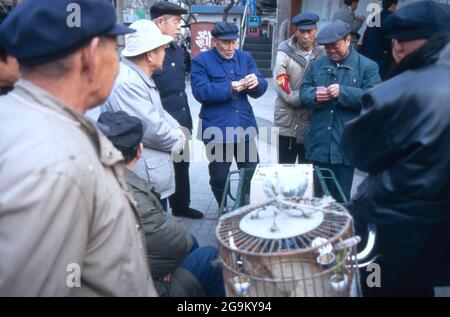 Vogelhändler in dem Straßen der Stadt Peking, Chine 1998. Vendeur d'oiseaux dans les rues de la ville de Pékin, Chine 1998. Banque D'Images