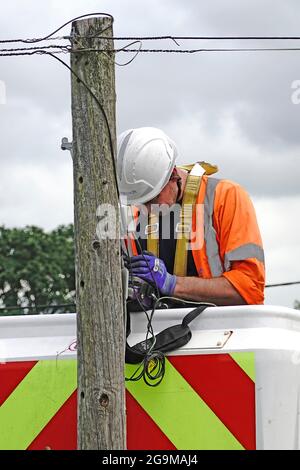 Gros plan de la section supérieure en bois BT téléphone poteau et câbles Openreach téléphone ingénieur travaillant sur le système de levage de cueilleur de cerisier vérifiant le défaut sur la ligne nationale Angleterre Banque D'Images