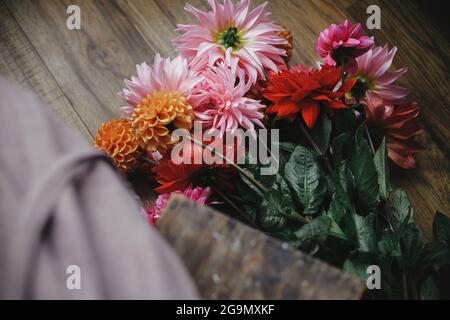 Bouquet de fleurs d'automne sur parquet dans une chambre rustique, vue ci-dessus. Femme en robe de lin arranger belle dahlias coloré. Saison d'automne dans le pays Banque D'Images