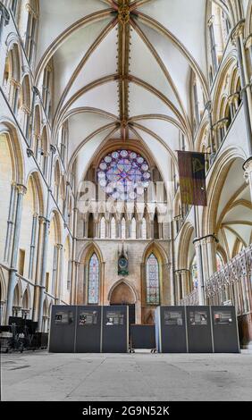 Transept du nord avec vitraux roses fenêtre de l'œil du doyen dans la cathédrale médiévale de Lincoln, en Angleterre. Banque D'Images