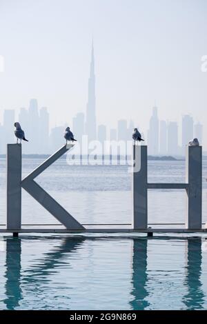 Des mouettes perchés sur des lettres géantes en face du Skyli du centre-ville de Dubaï Banque D'Images